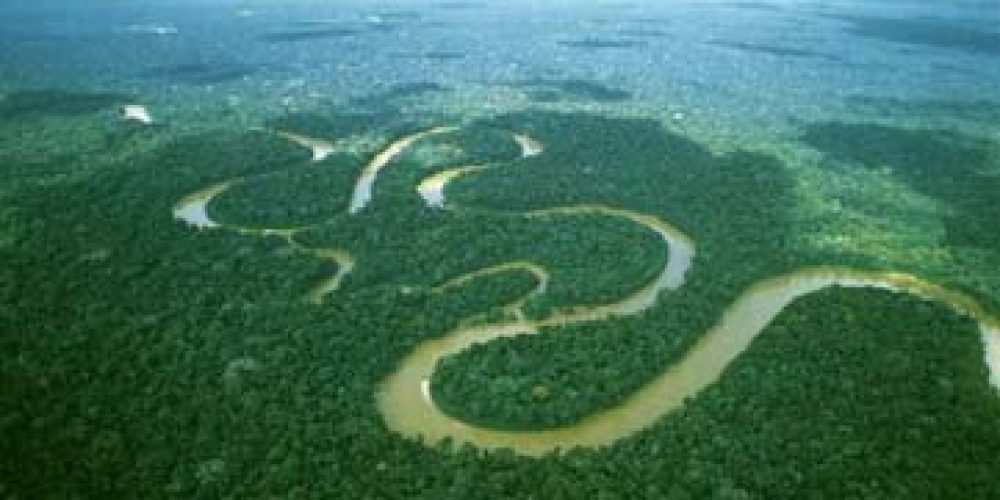 Padurea amazoniana absoarbe din ce in ce mai putin dioxid de carbon