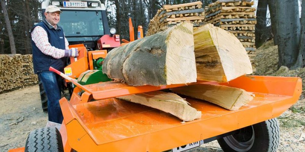 Despicatoare lemn – SplitMaster -Posch