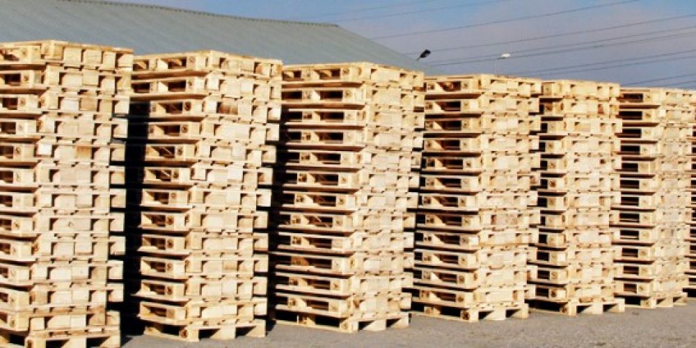Paletii din lemn, mai profitabil sa ii cumperi sau sa ii inchiriezi